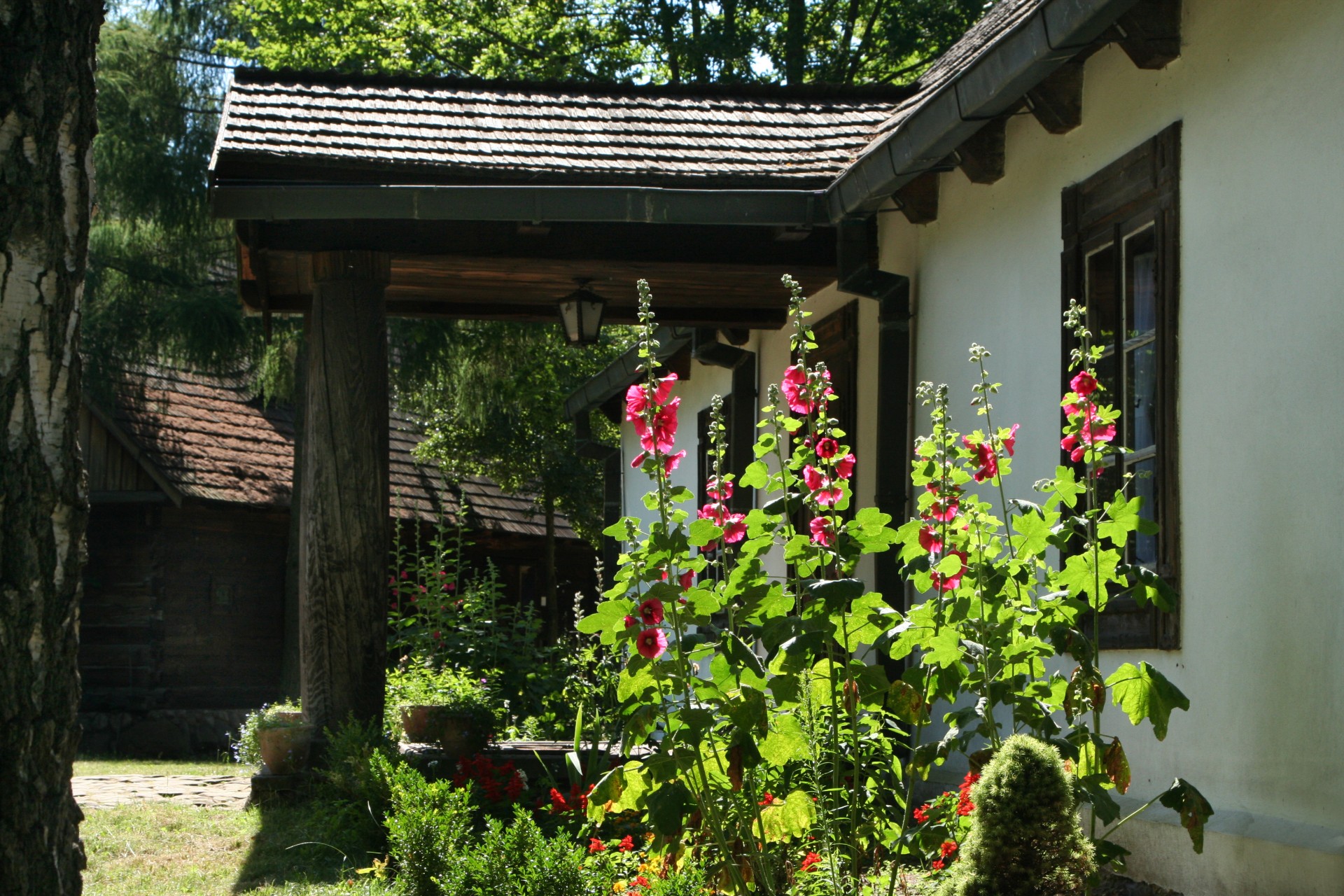 fot. arch. Muzeum Wsi Radomskiej w Radomiu (1)